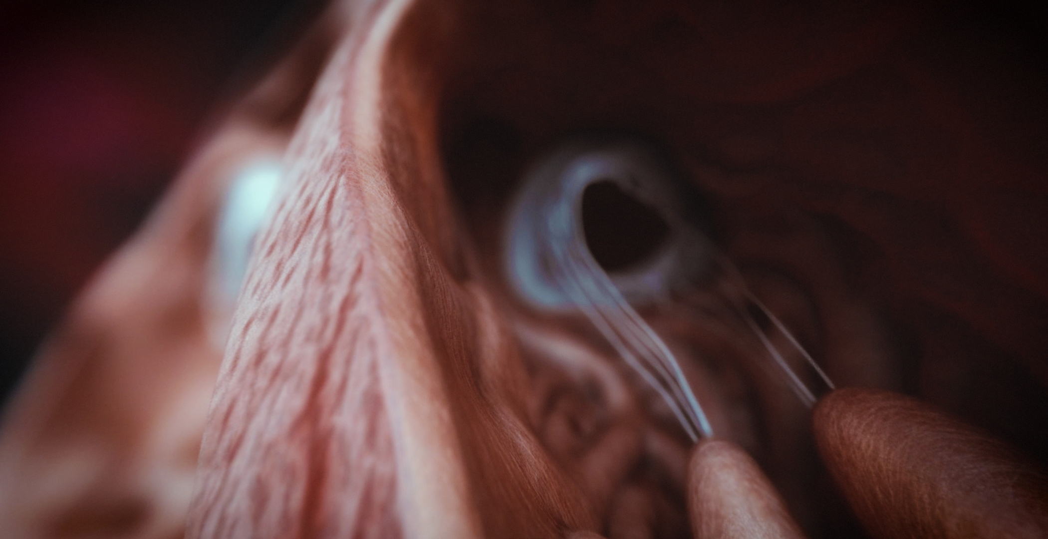 Animacja medyczna 360 stopni, widok serca, przekroje i symulacja z animacji 3D. Medical Animation 360 degree, heart view, cross-sections and simulation from 3D animation.