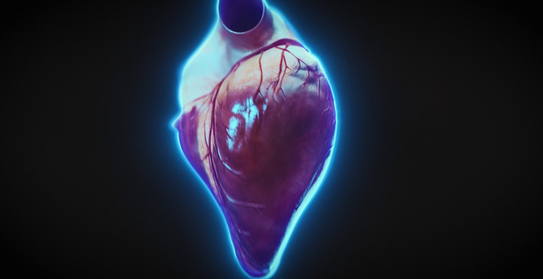 Animacja medyczna 360 stopni, widok serca, przekroje i symulacja z animacji 3D. Medical Animation 360 degree, heart view, cross-sections and simulation from 3D animation.
