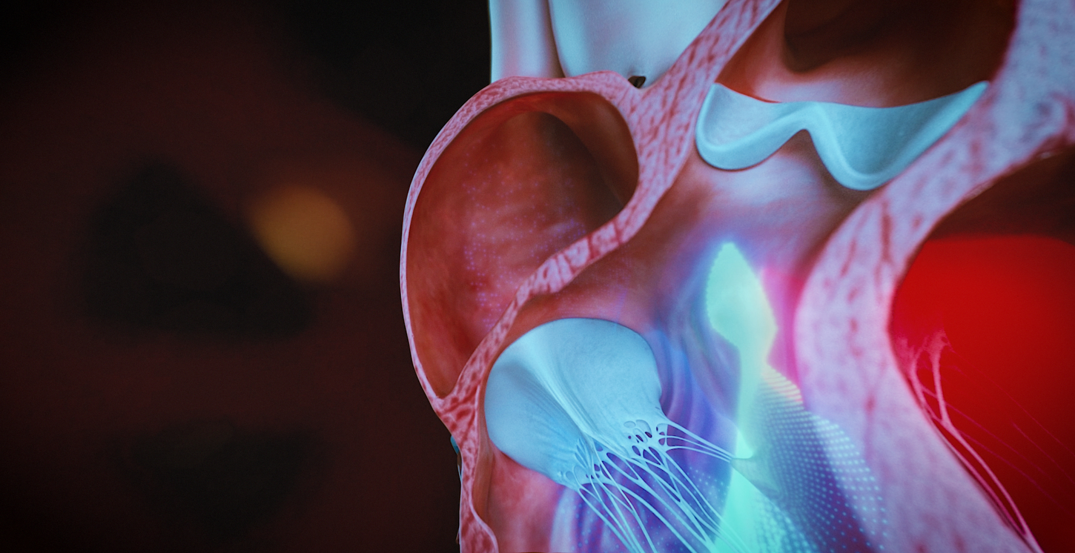 Animacja medyczna 360 stopni, widok serca, przekroje i symulacja z animacji 3D. Medical Animation 360 degree, heart view, cross-sections and simulation from 3D animation.