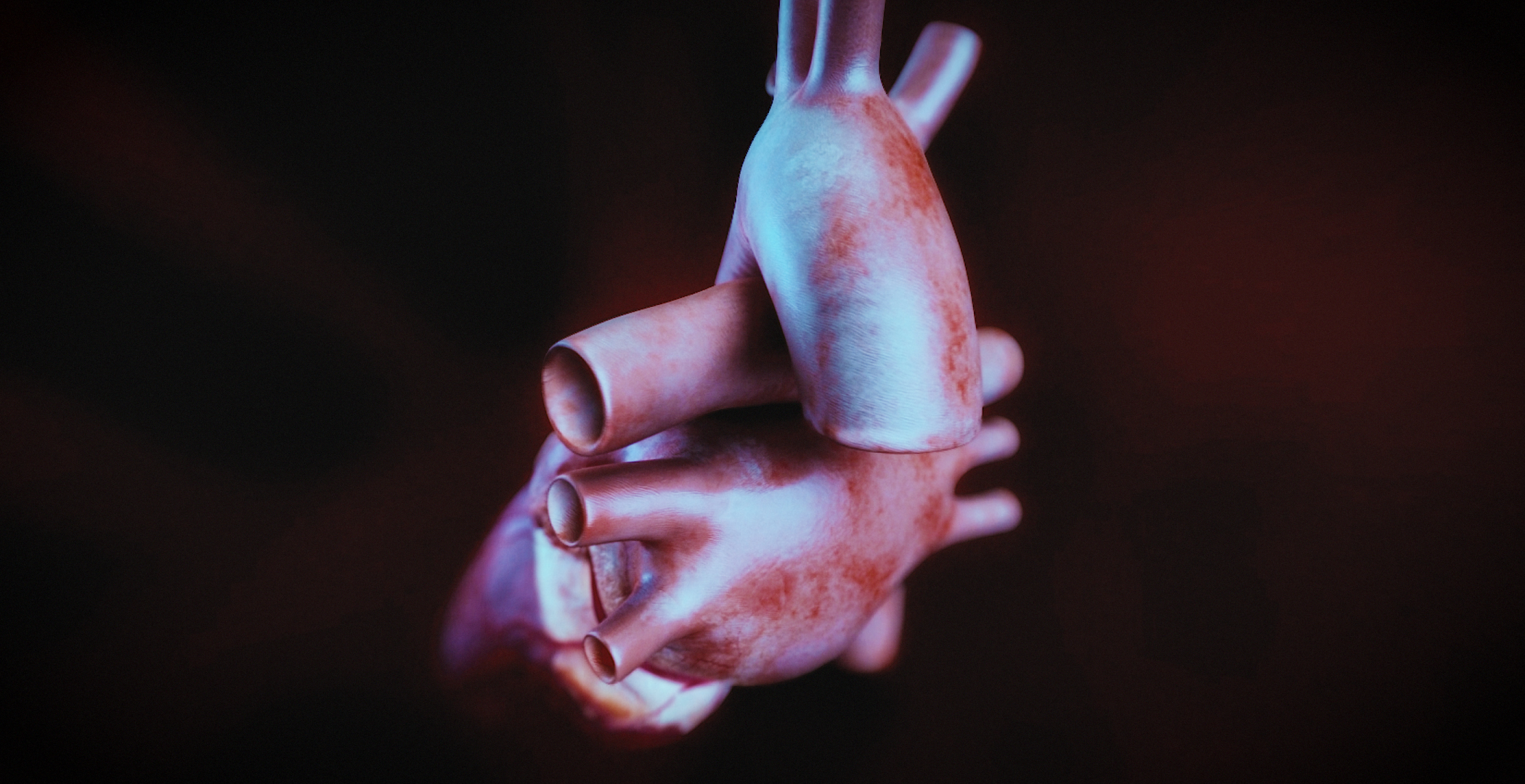 Animacja medyczna 360 stopni, widok serca, przekroje i symulacja z animacji 3D. Medical Animation 360 degree, heart view, cross-sections and simulation from 3D animation.
