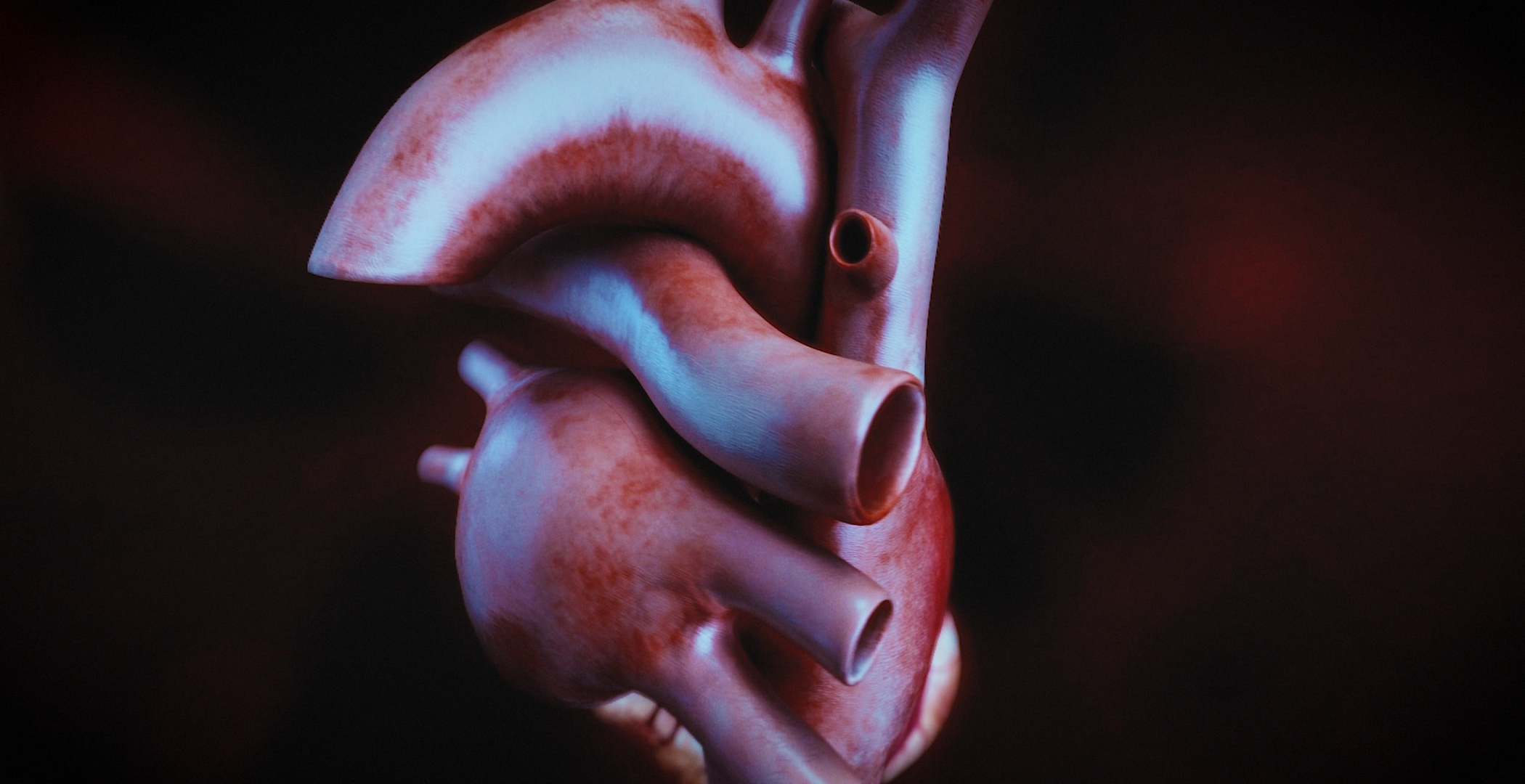 Animacja medyczna 360 stopni, widok serca, przekroje i symulacja z animacji 3D. Medical Animation 360 degree, heart view, cross-sections and simulation from 3D animation.