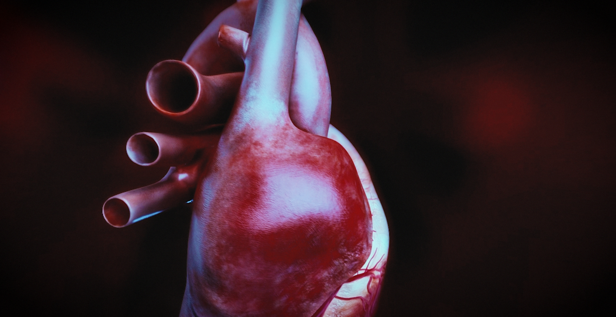 Animacja medyczna 360 stopni, widok serca, przekroje i symulacja z animacji 3D. Medical Animation 360 degree, heart view, cross-sections and simulation from 3D animation.