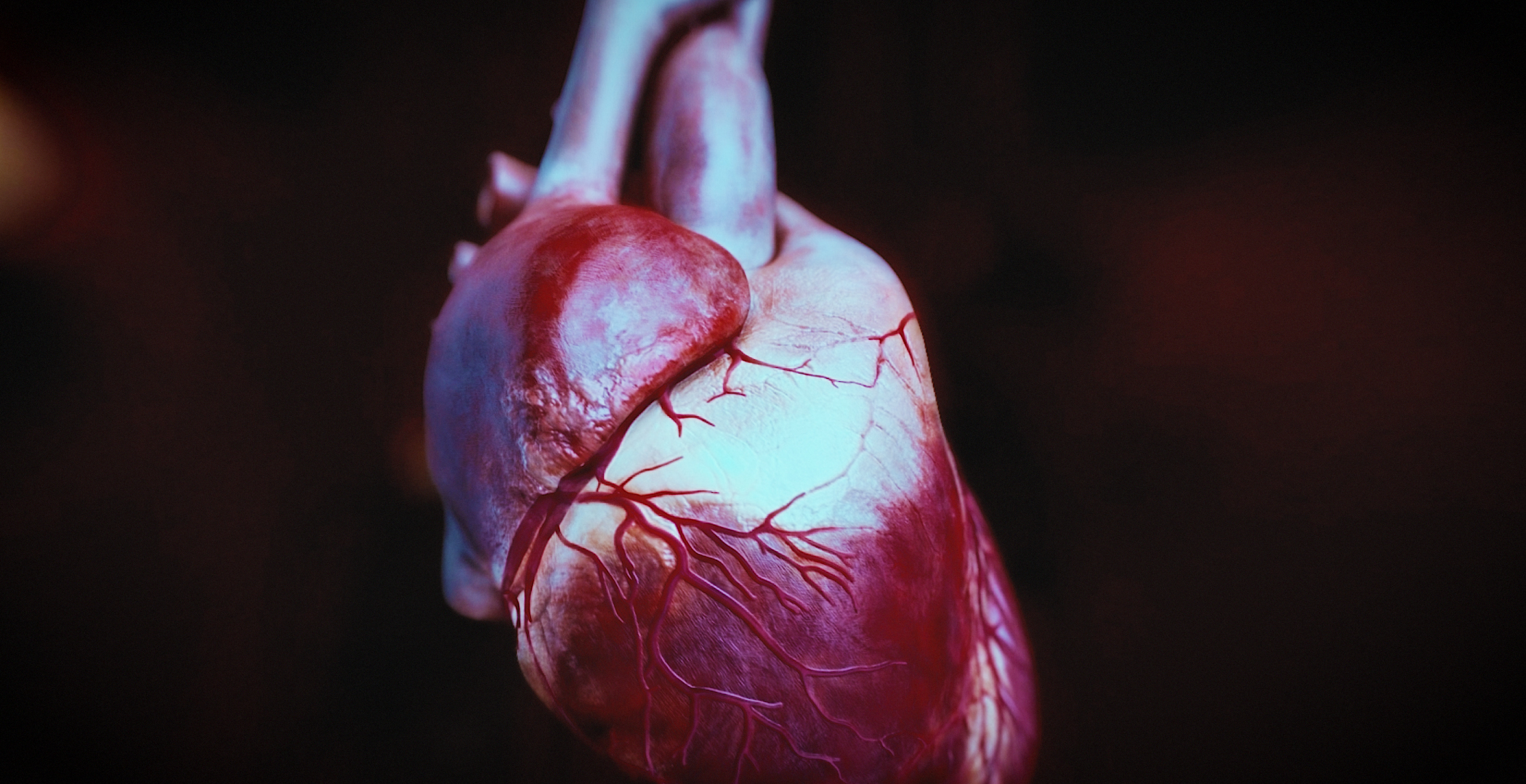 Animacja medyczna 360 stopni, widok serca, przekroje i symulacja z animacji 3D. Medical Animation 360 degree, heart view, cross-sections and simulation from 3D animation.