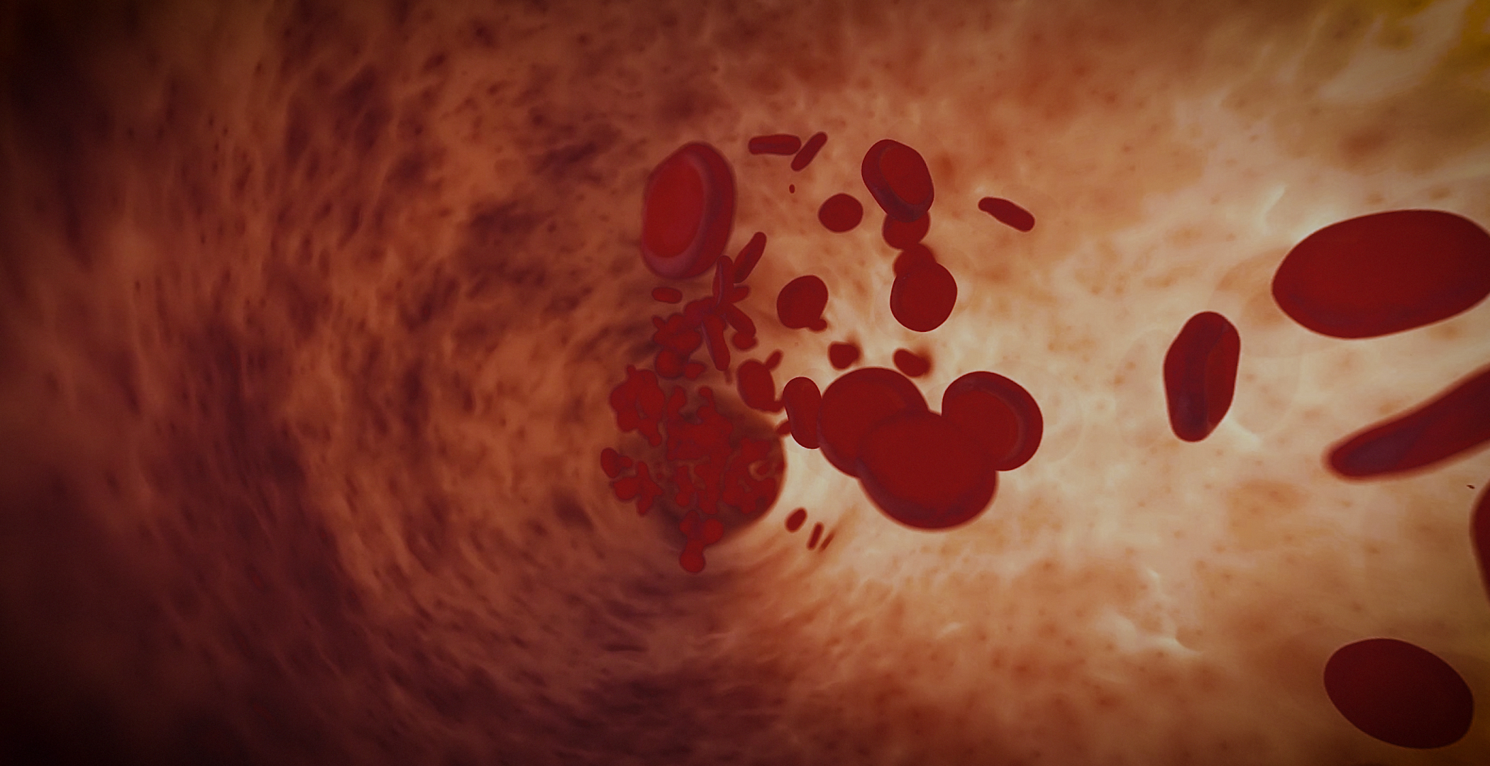 Animacja medyczna 360 stopni, widok serca, przekroje i symulacja z animacji 3D. Medical Animation 360 degree, heart view, cross-sections and simulation from 3D animation.
