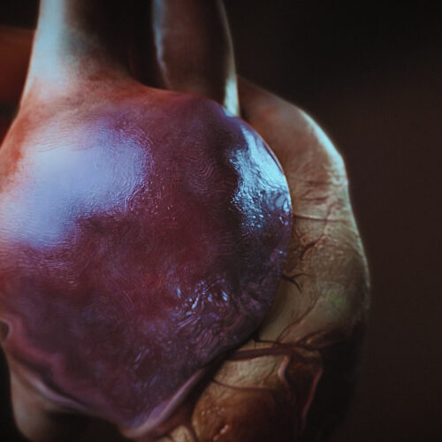HEART_web__30 Animacja medyczna 360 stopni, widok serca, przekroje i symulacja z animacji 3D. Medical Animation 360 degree, heart view, cross-sections and simulation from 3D animation.