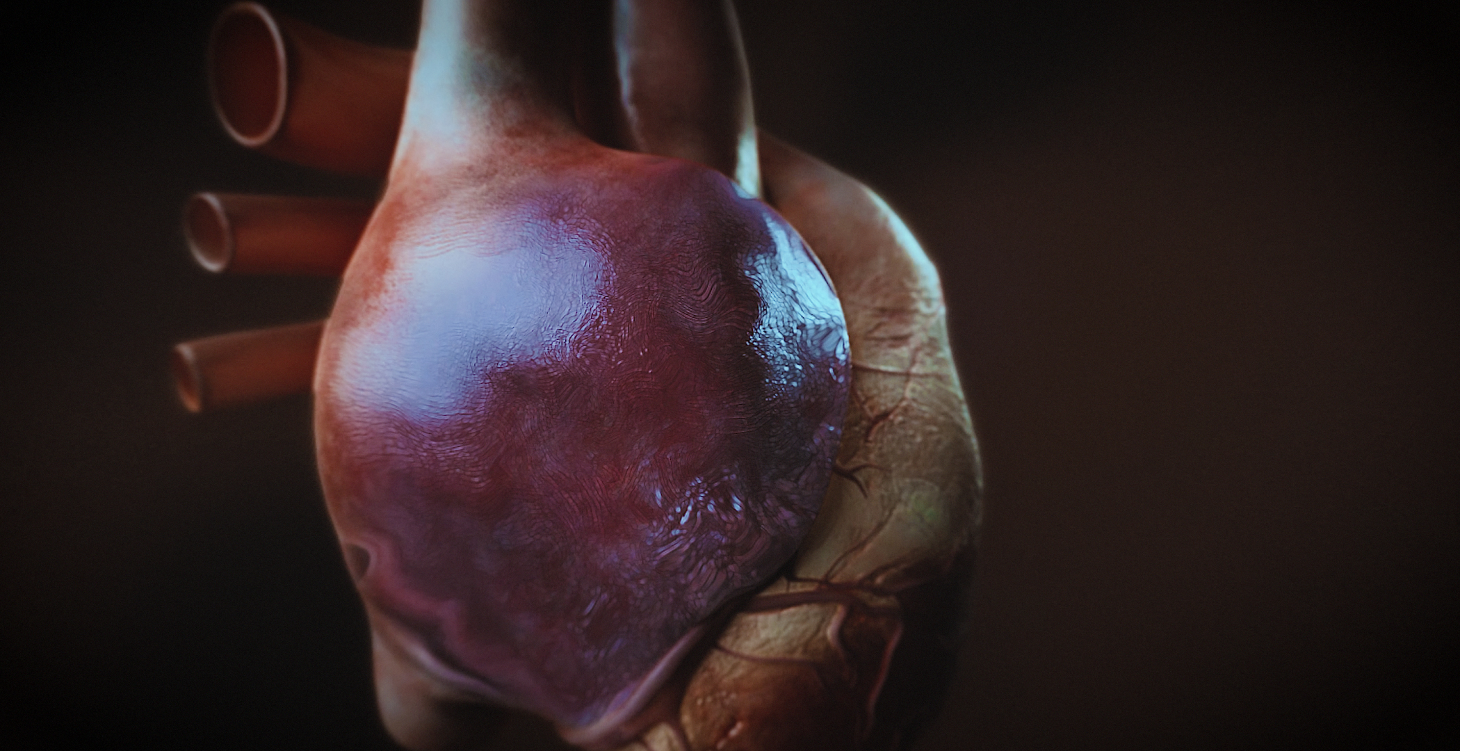 Animacja medyczna 360 stopni, widok serca, przekroje i symulacja z animacji 3D. Medical Animation 360 degree, heart view, cross-sections and simulation from 3D animation.