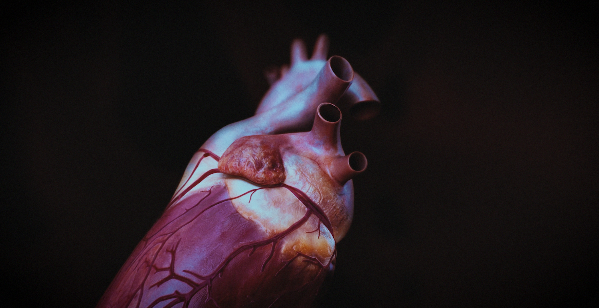 Animacja medyczna 360 stopni, widok serca, przekroje i symulacja z animacji 3D. Medical Animation 360 degree, heart view, cross-sections and simulation from 3D animation.