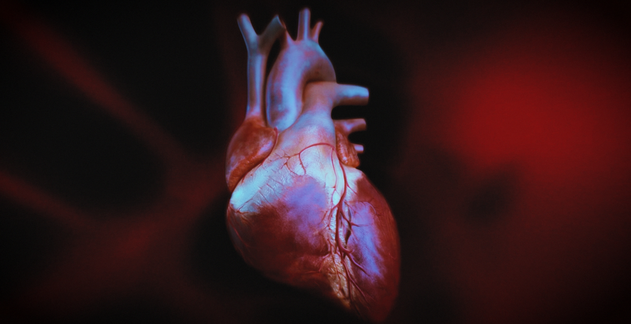 Animacja medyczna 360 stopni, widok serca, przekroje i symulacja z animacji 3D. Medical Animation 360 degree, heart view, cross-sections and simulation from 3D animation.