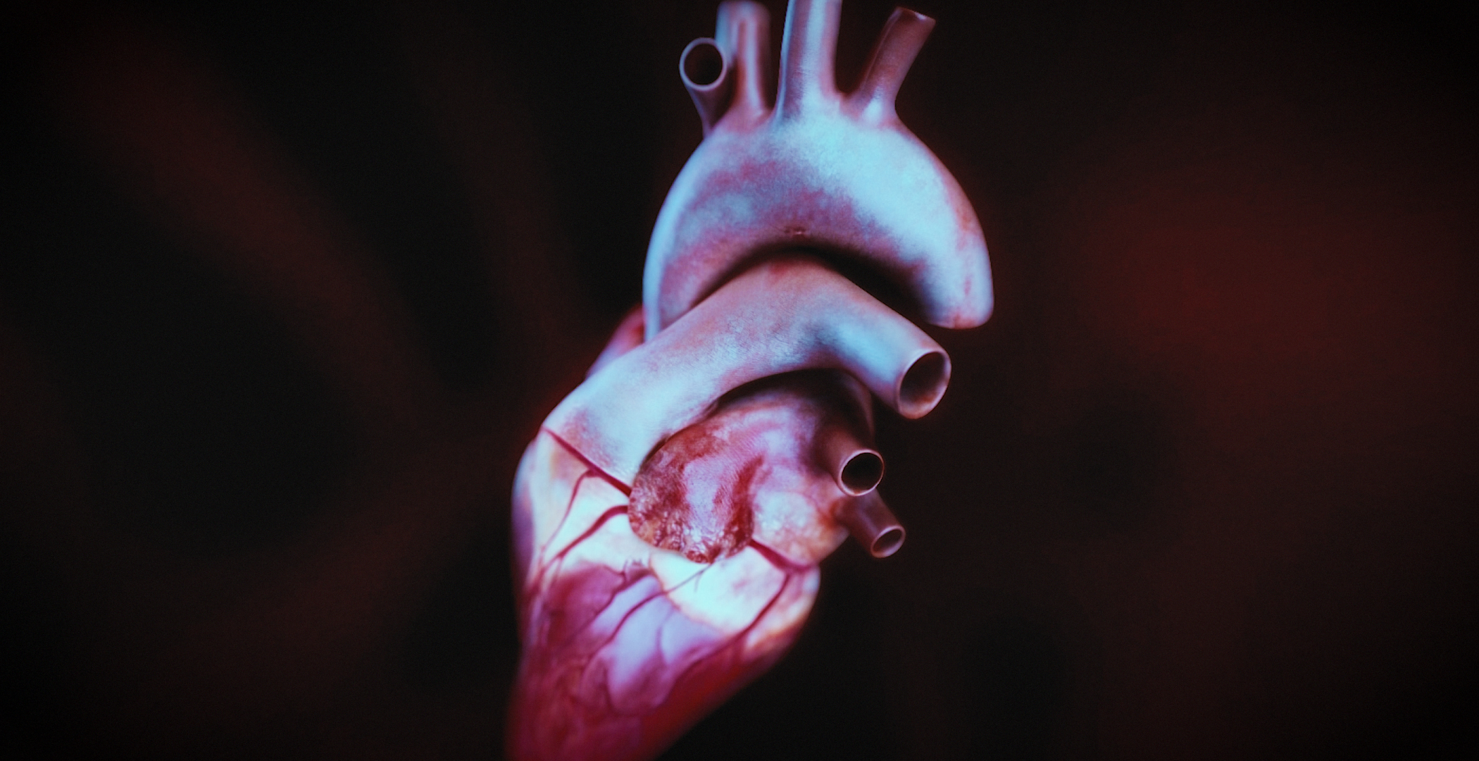 Animacja medyczna 360 stopni, widok serca, przekroje i symulacja z animacji 3D. Medical Animation 360 degree, heart view, cross-sections and simulation from 3D animation.